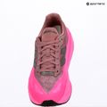 Férfi futócipő  New Balance FuelCell Rebel V5 pink heat/rosewood 12