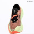 Férfi futócipők ASICS Trabuco Max 5 umeboshi/black 9