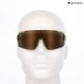 Napszemüveg Alpina Lumin green transparent gloss/gold mirror 7