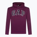 Férfi pulóver  GAP V-Heritage Logo PO SNL beach plum 2