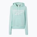 Női Reebok Identity Big Logo Fleece Fleece glitch aqua pulóver 5