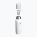Termosz Stanley New Legendary Classic hammertone frost 3