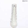 Boxcipő adidas Box Hog 4 white/silver 9