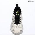 Férfi kosárlabda cipő Nike Giannis Immortality 5 white/off white/metallic silver 16