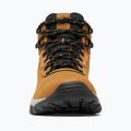 Férfi trekking cipő Columbia Newton Ridge Plus II Wp elk/black 10