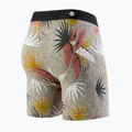 Férfi Stance Yacht Club Brief többszínű boxeralsó 2