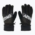 Férfi síkesztyű Oakley Factory Winter Gloves 2.0 blackout 3