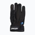 Férfi síkesztyű Oakley Factory Winter Gloves 2.0 blackout 7