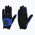 Férfi kerékpáros kesztyű Fox Racing Dirtpaw kék