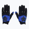 Férfi kerékpáros kesztyű Fox Racing Dirtpaw kék 2