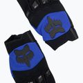 Férfi kerékpáros kesztyű Fox Racing Dirtpaw kék 5