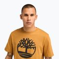Férfi Timberland Kennebec Tree Logo búza csizma ing 4