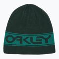 Oakley TNP fordítható sapka zöld FOS901066 4