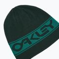 Oakley TNP fordítható sapka zöld FOS901066 6