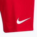 Nike Dri-Fit Park III férfi edzőnadrág piros BV6855-657 3