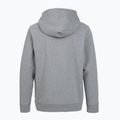 Női túra pulóver Patagonia P-6 Label Uprisal Hoody gravel heather 2