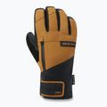 Rękawice snowboardowe férfi Dakine Titan Gore-Tex Short Glove rubber 11