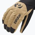 Férfi snowboard kesztyű ThirtyTwo Lashed Glove khaki 4