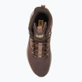 Férfi cipő CATerpillar Colorado Sneaker coffee bean / rain drum 5