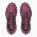 Női futócipő Saucony Xodus Ultra 4 terra/wine 12