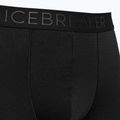 Férfi thermo boxeralsó jégtörő Anatomica Cool-Lite fekete 105223 3