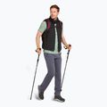 Férfi Icebreaker Merino 150 Tech Lite Polar Paddle trekking póló moha 5