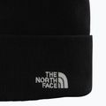 Férfi trekking sapka The North Face Norm Beanie fekete 2