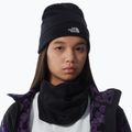 Férfi trekking sapka The North Face Norm Beanie fekete 3