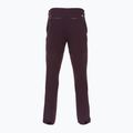 Férfi trekking nadrág Patagonia Point Peak Trail-Regular obsidian plum 2