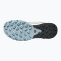 Női túrabakancsok Salomon Outrise GTX bézs L47142700 16