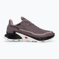 Salomon Alphacross 5 GTX női futócipő moonscape/fekete/fehér 2