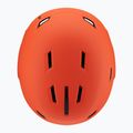 Sísisak Salomon Pioneer LT cherry tomato 5