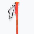Síbot Salomon Polar cherry tomato 4