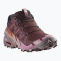 Női futócipő Salomon Speedcross 6 catawba grape/papaya/deauville mauve 8