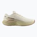 Salomon Thundercross férfi futócipő aszfalt/sharkskin/spray 8
