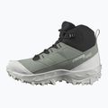 Női trekking cipő Salomon Crosstrak WP agave green/black/can ary green 10