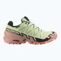 Női Salomon Speedcross 6 GTX futócipő lime cream/mahogany rose/fekete 2
