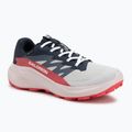 Női futócipő Salomon Alphaglide GTX lunar rock/kék éj/rouge piros