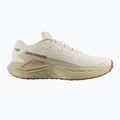 Férfi futócipő Salomon Drx Defy GRVL vanília ice/green haze/white pepper 8