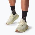 Férfi futócipő Salomon Drx Defy GRVL vanília ice/green haze/white pepper 11