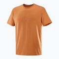 Férfi Salomon Big Logo Tee sierra póló 4