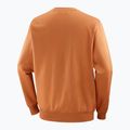 Férfi Salomon Logo Crewneck pulóver sierra 6