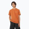 Férfi Salomon Logo Tee sierra póló
