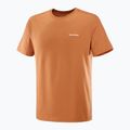 Férfi Salomon Logo Tee sierra póló 4