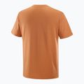 Férfi Salomon Logo Tee sierra póló 5