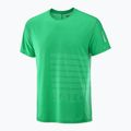 Férfi Salomon Sense Aero Tee GFX parakeet / spearmintme futópóló 4