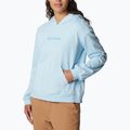 Női trekking pulóver Columbia Logo III French Terry kék 2032871490