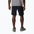 Férfi trekking rövidnadrág Columbia Silver Ridge Utility black 2