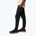 Férfi trekking nadrág Columbia Hike Jogger II fekete 3