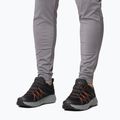 Férfi túracipő Columbia Peakfreak Roam black/red quartz 17